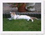 Tommy en Tymo 139 * 2048 x 1536 * (1.12MB)